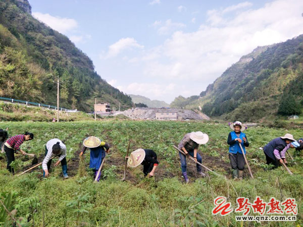 龙里洗马镇人口_贵阳龙里双龙镇景点(3)