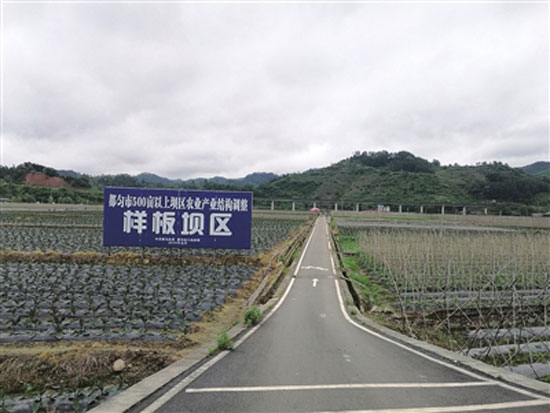都匀农村人口_都匀毛尖图片(2)