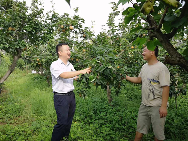 中国农户人口_中国地图(3)
