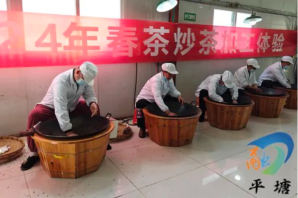 JN江南体育最新官网入口品平塘甲茶·观中国天眼—“贵州春茶第一壶”开采(图3)