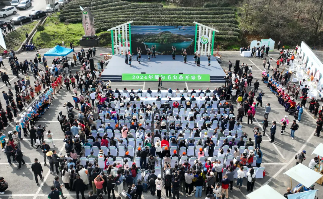 JN江南体育壮大茶产业带动文旅融合！《经济日报》大篇幅聚焦都匀毛尖！(图4)