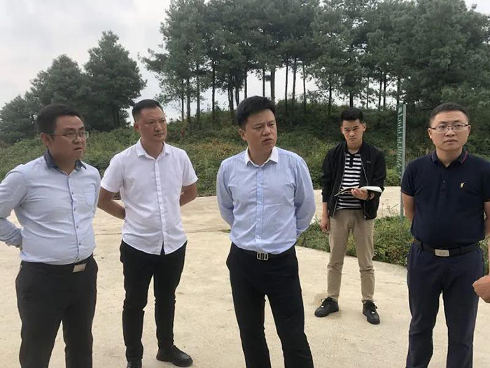 秦礼琦深入乡镇调研国储林,高标准农田建设工作