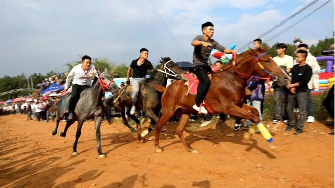 “村马”火爆出圈！黔南旅游再添“新势力”！