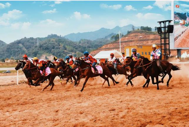 三都：以赛为媒 打响“贵州村马”IP品牌