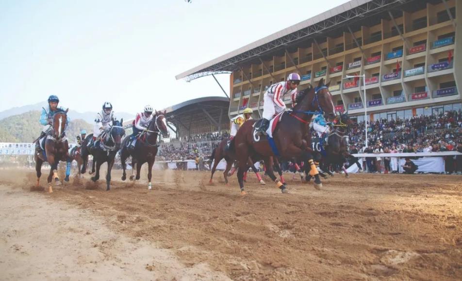 贵州“村马”：驰骋发展新空间