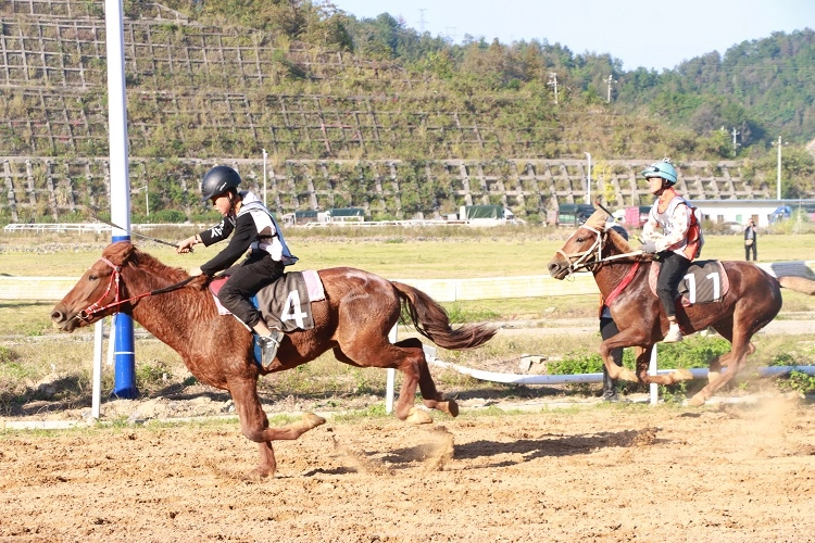 贵州村马、村GT、拳峰比赛......三都这场体育文化盛宴绘就燃情深秋