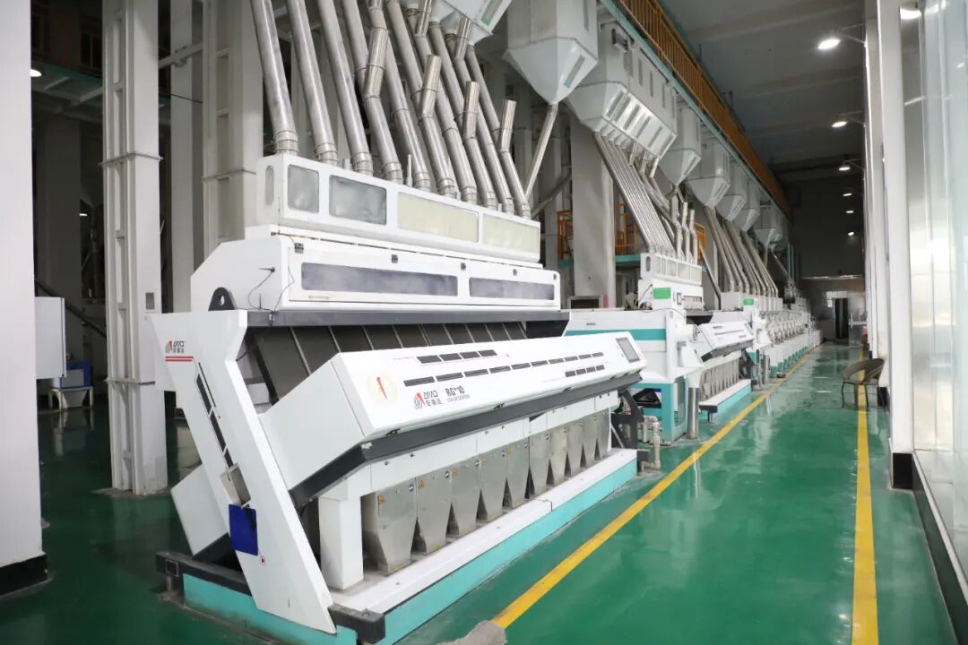 绿色赋能·智造引领——解锁长顺新型工业化的高质量发展密码