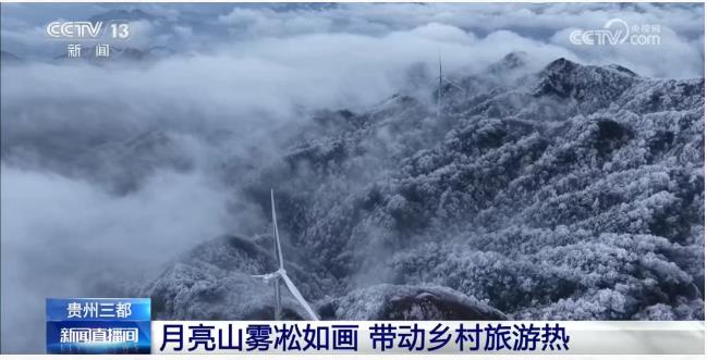 美翻了！央视关注三都月亮山雾凇，4万游客奔赴这场冬日浪漫