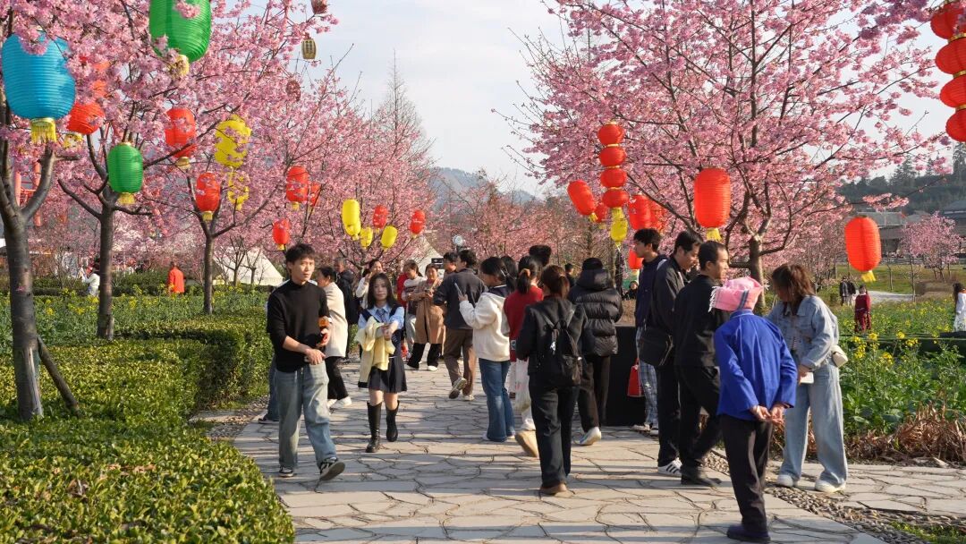 贵定：晴好天气催热新春游，金海雪山单日迎客超2万人次