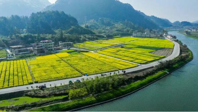 山海携手“种”未来，粤黔同心绘“丰”景