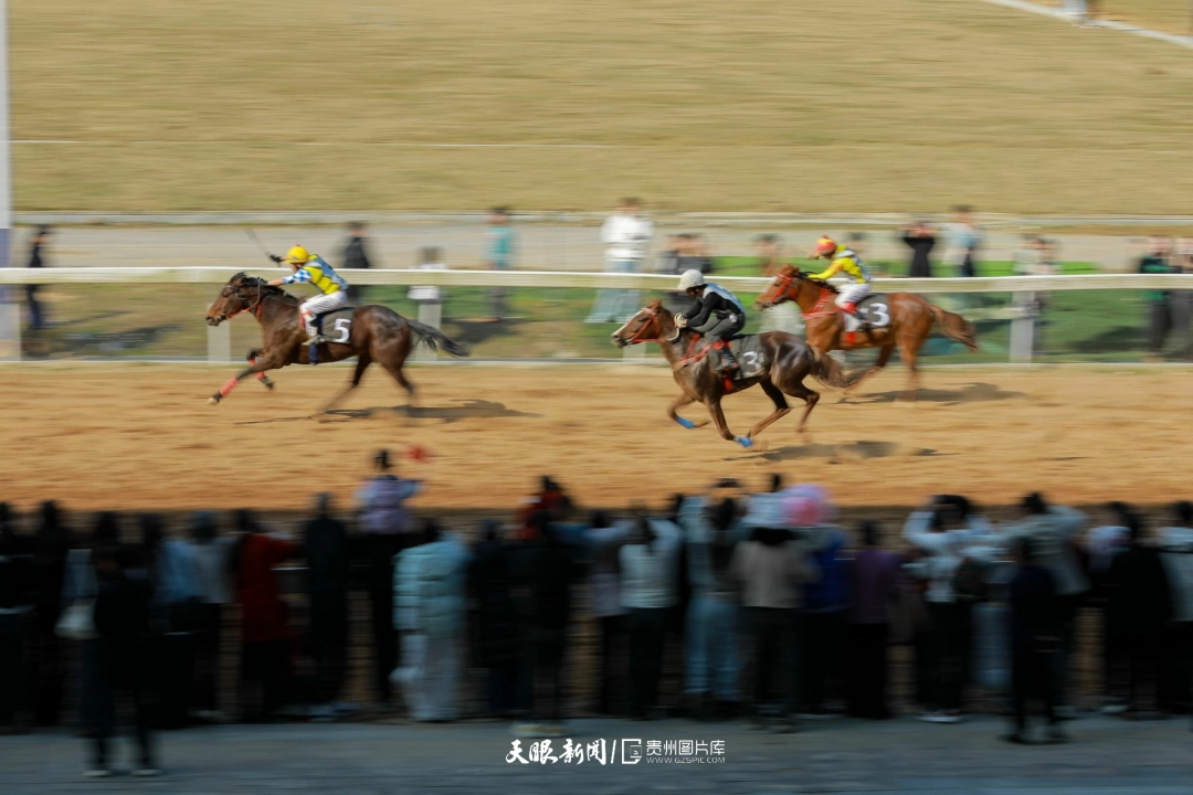 “村马” 闹新春 水乡年味浓