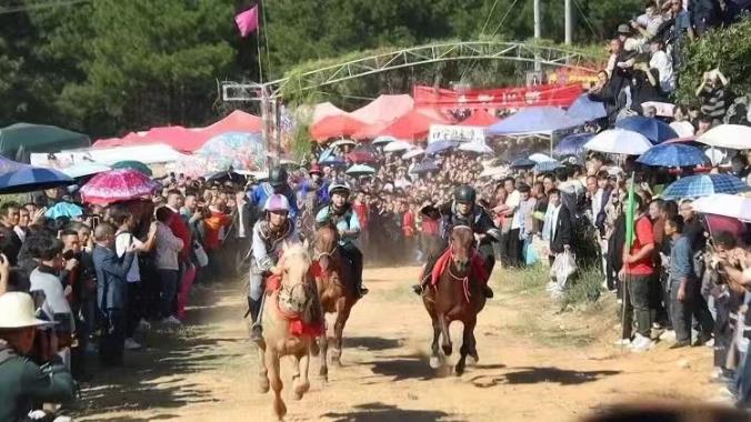 火出圈的“村马”，1600万人追看，底气究竟从哪来？