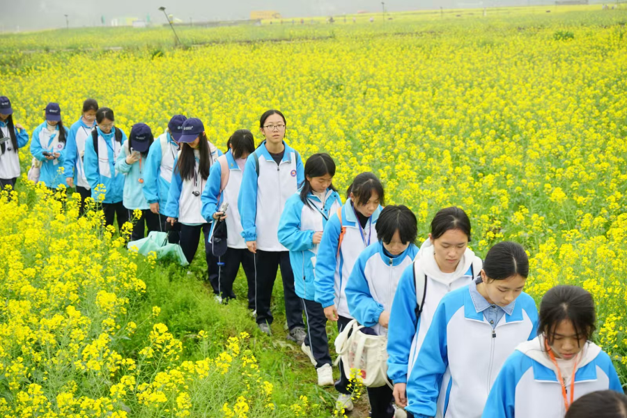 图片3(1).png 图片3(1).png